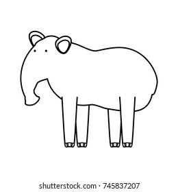  tapir vector illustration
