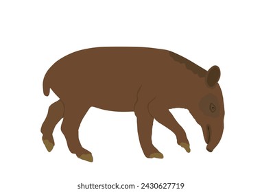 Tapir vector illustration isolated on white background. Tapirus Central and South America animal. Asian animal, like a pig.