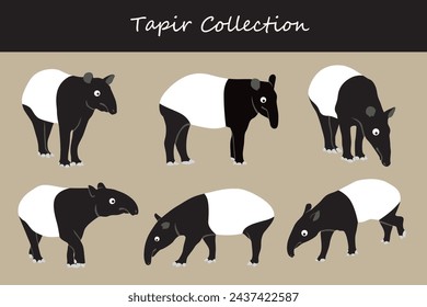 tapir vector illustration set. Cute tapir isolated on white background.