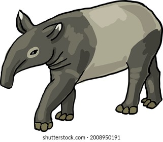 tapir vector image tropical animal