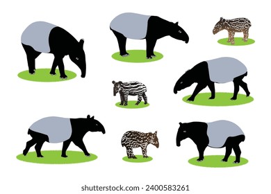  Tapir vector set, Tapir animal bundle. Image For Animals Design on white background.