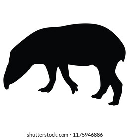 Tapir vector silhouette illustration isolated on white background. 