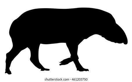 Tapir vector silhouette illustration isolated on white background. Tapirus Central and South America animal. Asian animal, like a pig.