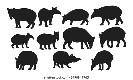  Tapir vector silhouette on white background