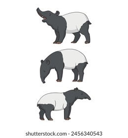 Tapirs are a group of herbivorous animals from the genus Tapirus.