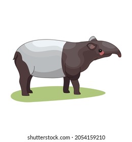 Tapirus indicus - Malayan tapir - Side view - Flat vector Isolated.