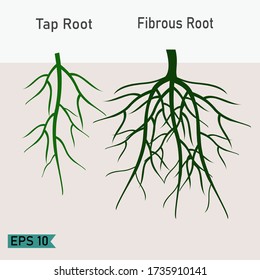 rayas fibrosas y desmontadas en un estilo plano. ilustración de brotes y raíces fibrosas. tema de planta