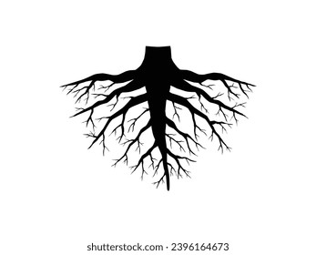 taproot root system of a plant. taproot example with flat style design. vector icon