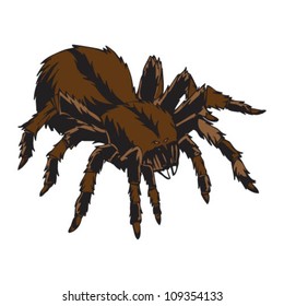 Tarantula