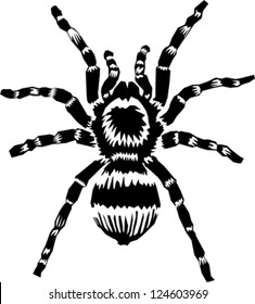 Tarantula