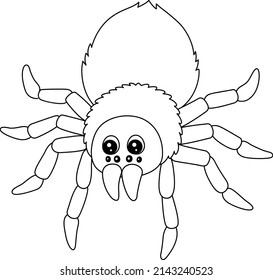 4,664 Tarantula Draw Images, Stock Photos & Vectors | Shutterstock