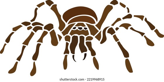 Tarantula Color Vector, Print, Illustration