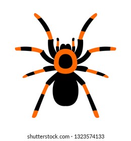 tarantula flat icon.You can be used tarantula icon for several purposes like: websites, UI, UX, print templates, presentation templates, promotional materials, web and mobile phone apps