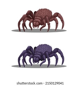 Tarantula or Giant Spider animal character in two color set illustration vector