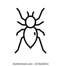 Tarantula Icon. Line Art Style Design Isolated On White Background