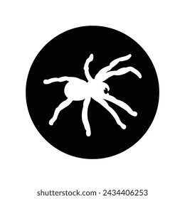 Tarantula icon vector illustration design