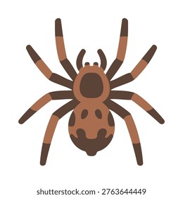 Tarantula Illustration Vector Template Design