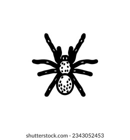 tarantula insect vector illustration concept