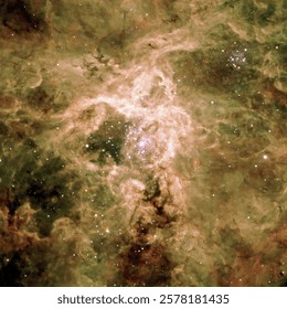 Tarantula Nebula. Most active starburst region in the Local Group.