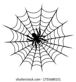 Tarantula on cobweb isolated on white backgound. Vector illustration