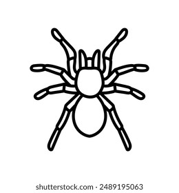 Icono de Contorno de Tarántula, Ilustración vectorial