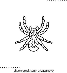 Tarantula, giftige Spinne, Vektorsymbol in Umriss
