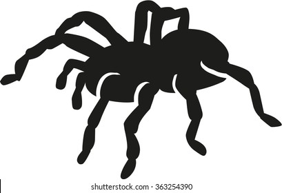 Tarantula silhouette