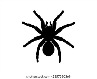 Silueta tarántula vectorial arte fondo blanco