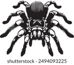 Tarantula silhouette vector style for the illustrator