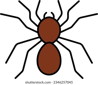 tarantula spider arachnid goliath creepy Outline