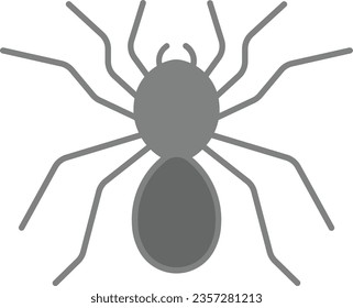 tarantula spider arachnid goliath creepy