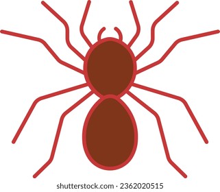 tarantula spider arachnid goliath creepy