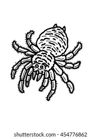 Tarantula spider cartoon