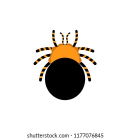 tarantula spider icon