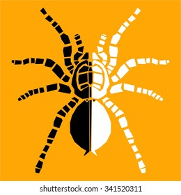 Tarantula spider icon