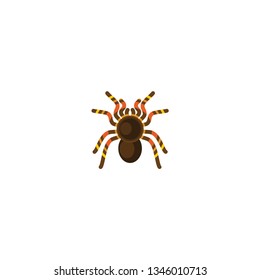 Tarantula spider icon on a white background