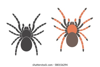 Tarantula and spider logo. Isolated tarantula on white background. EPS 10. Vector illustration