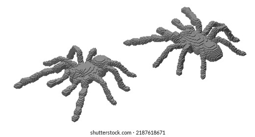 Tarantula spider made from cubes. Voxel art. Futuristic concept. 3d Vector illustration. Isometric projection.