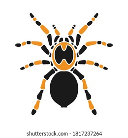 tarantula spider simple design vector
