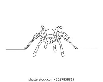 Tarantula spider single outline illustration. Continuous line art drawing of wild spider. Editable stroke.