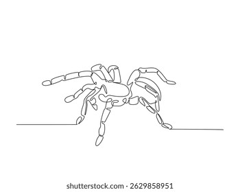 Tarantula spider single outline illustration. Continuous line art drawing of wild spider. Editable stroke.
