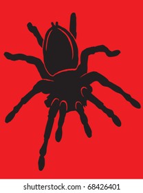 Tarantula spider vector illustration, fully editable and endlessly scalable.