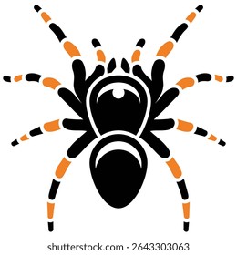 Tarantula Spider Web Poison Danger Insect