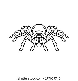 Tarantula tattoo