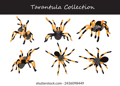 tarantula vector illustration set. Cute tarantula isolated on white background.