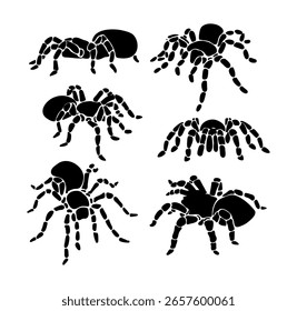 Tarantula Vector on Black Colour