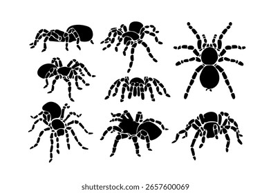 Tarantula Vektor auf Schwarz