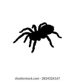 Tarantulas silhouette vector flat design on white background.
