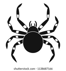 Tarantum spider icon. Simple illustration of tarantum spider vector icon for web design isolated on white background