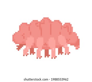 Tardigrada pixel art 8 bit. type of microscopic invertebrate. vector illustration